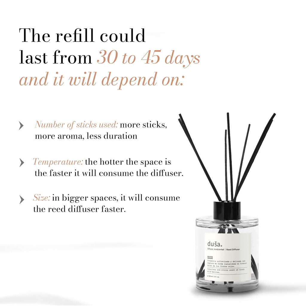 Cedar Bergamot - Reed Diffuser