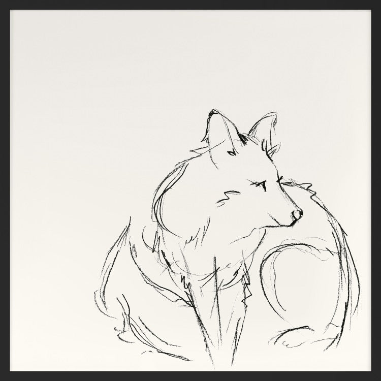 Fox Sketch 1