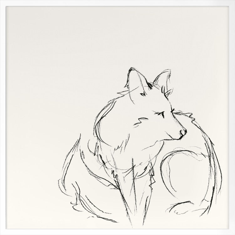 Fox Sketch 1