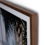 Greenhouse II by Annie Spratt