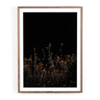 Escape I by Annie Spratt