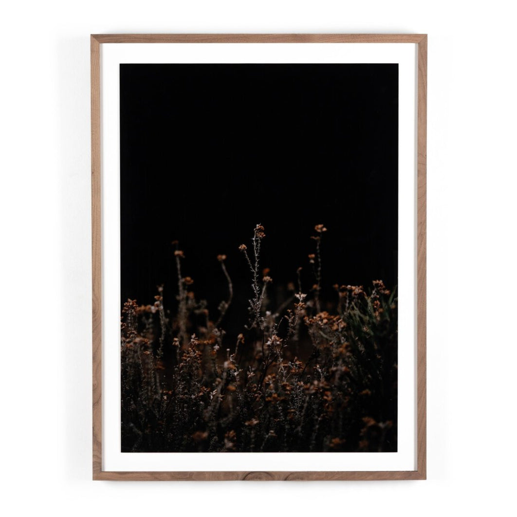 Escape I by Annie Spratt