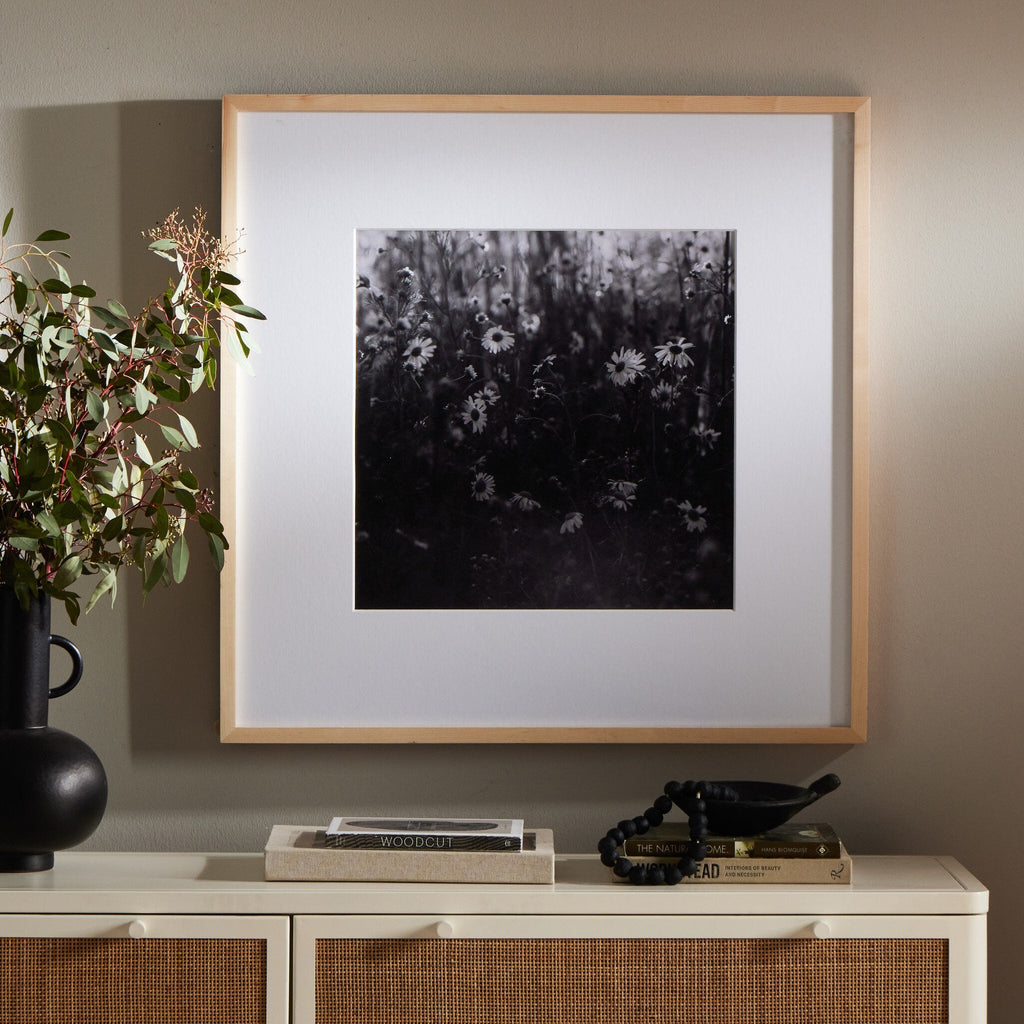 Floral Film II by Annie Spratt