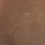 In The Quiet Earth by Melody Joy Mcmunn