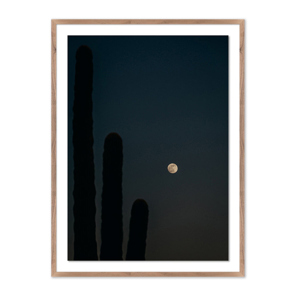 One, Two, Three...Moon by Coy Aune