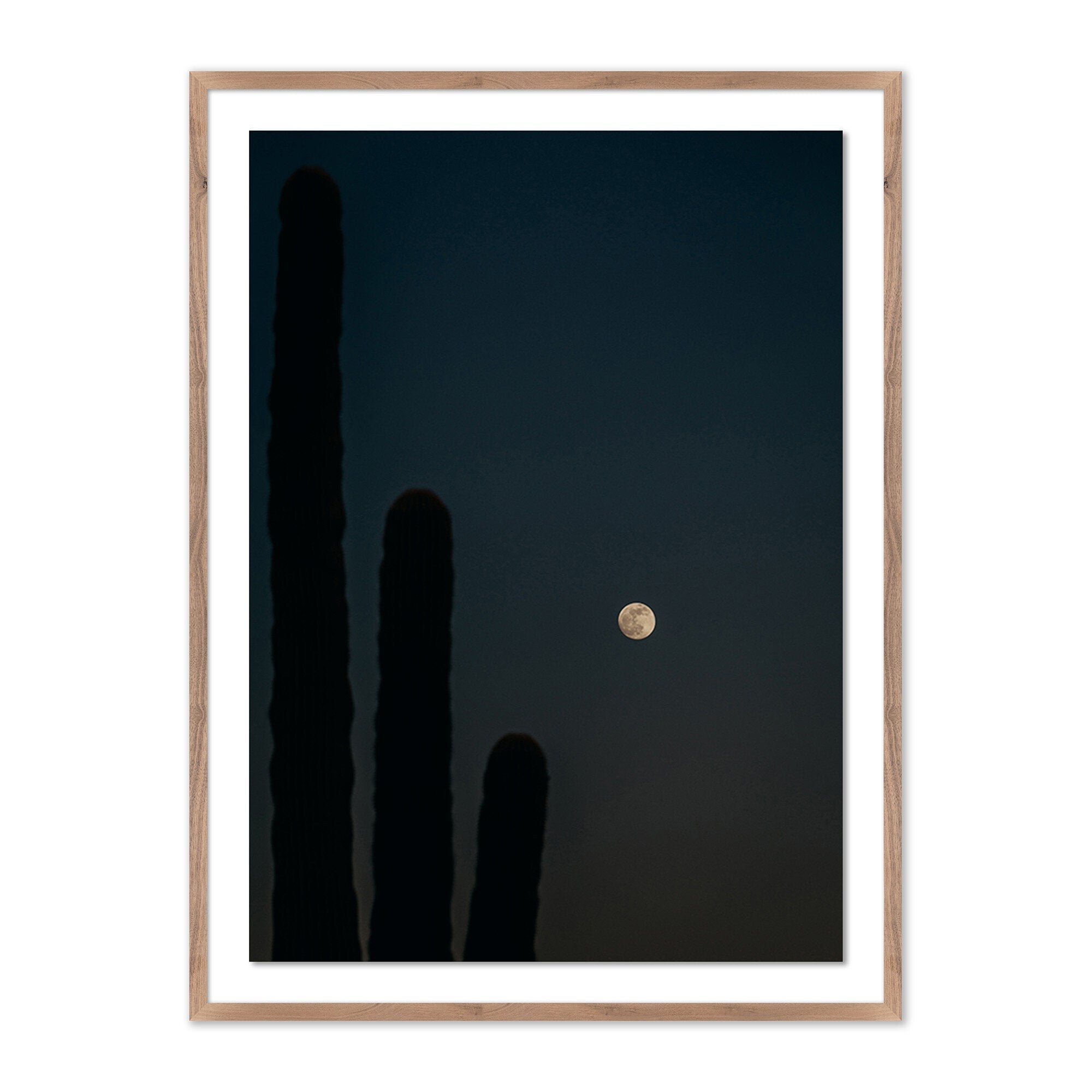 One, Two, Three...Moon by Coy Aune