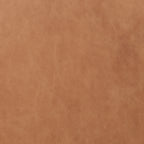 Colter Counter Stool