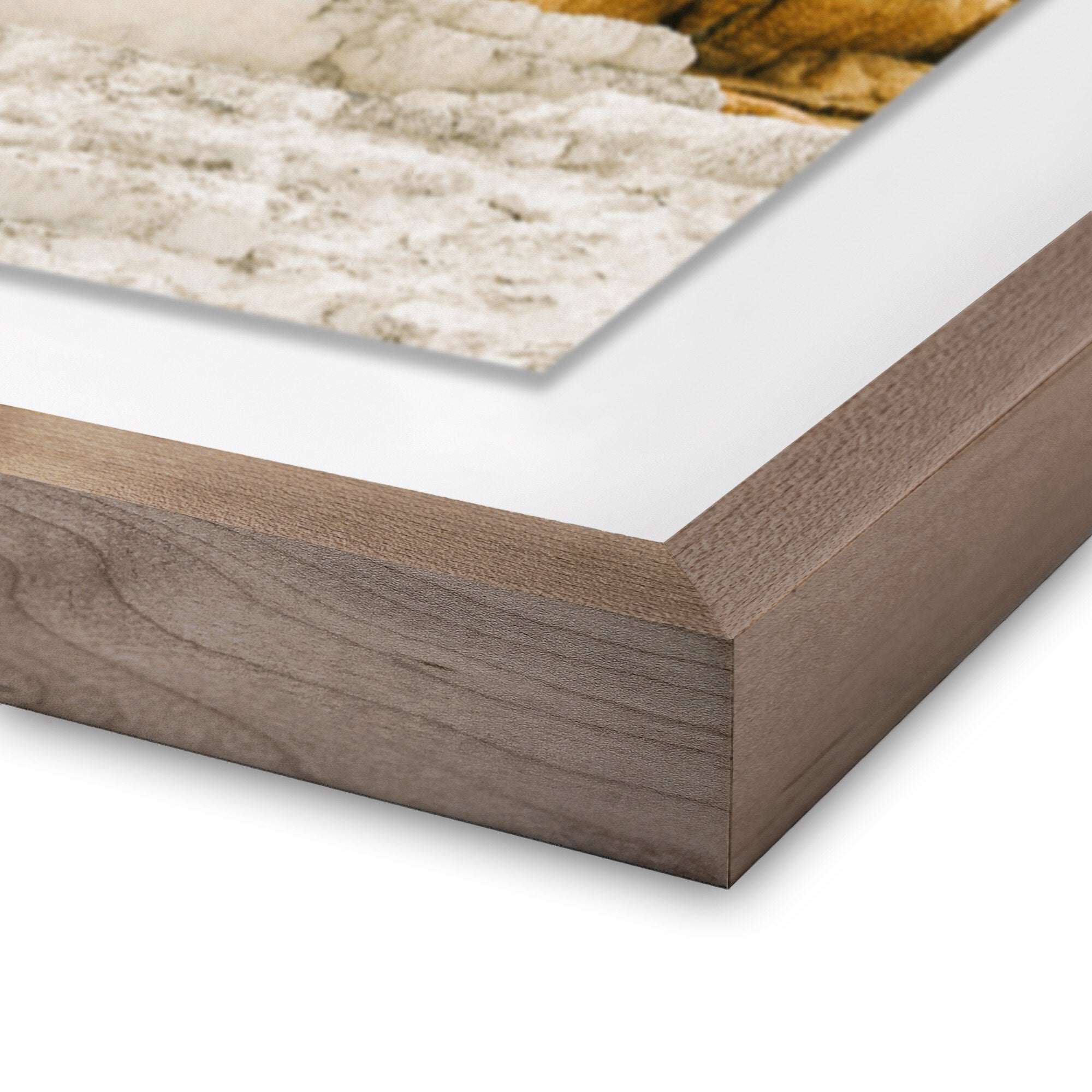 Mammoth by Wesley and Emma Teague