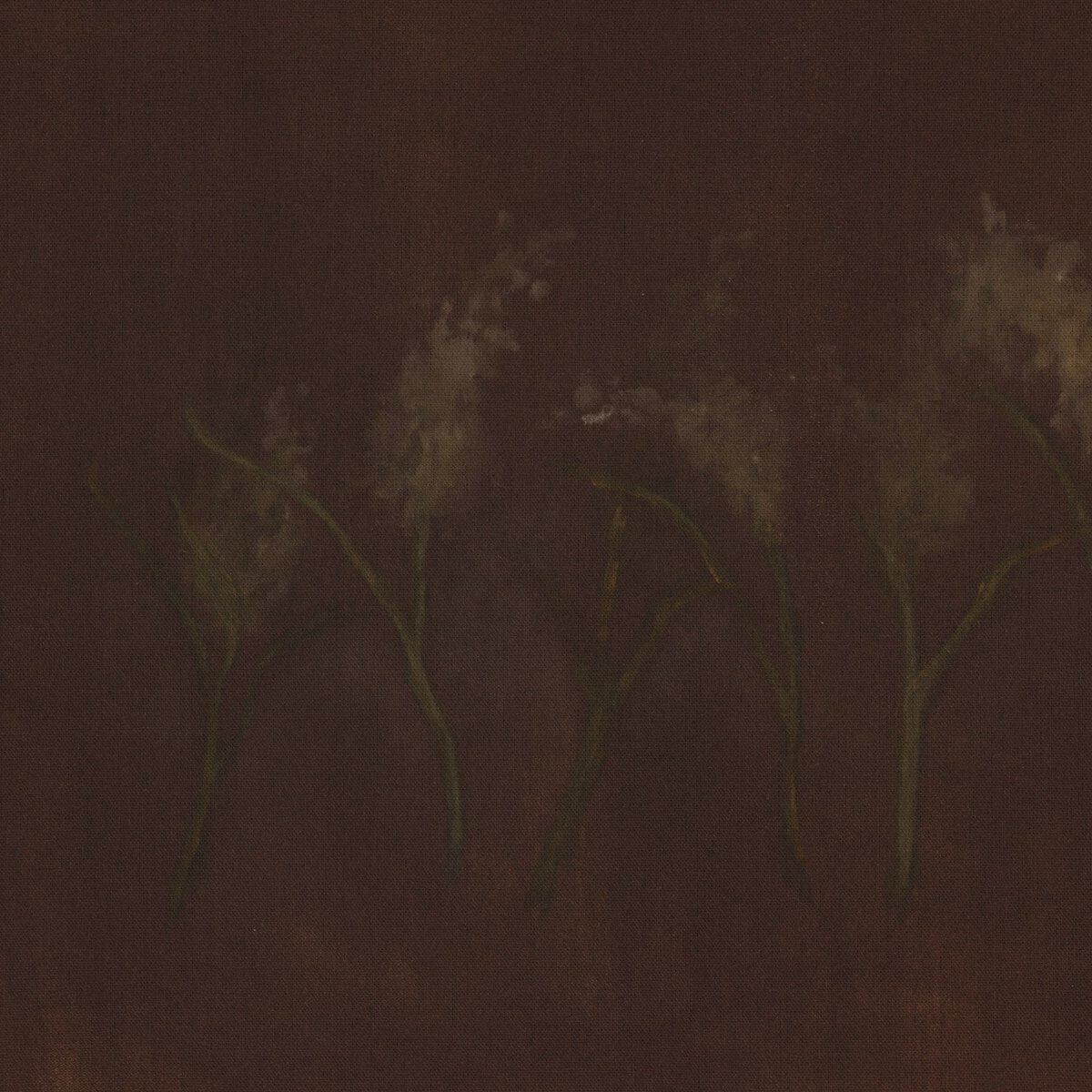 Bloom III by Brittney Schulz