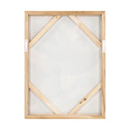 Elaris 1 Framed Painting