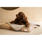 Brigette Romanek Luxury Pet Throw Blanket