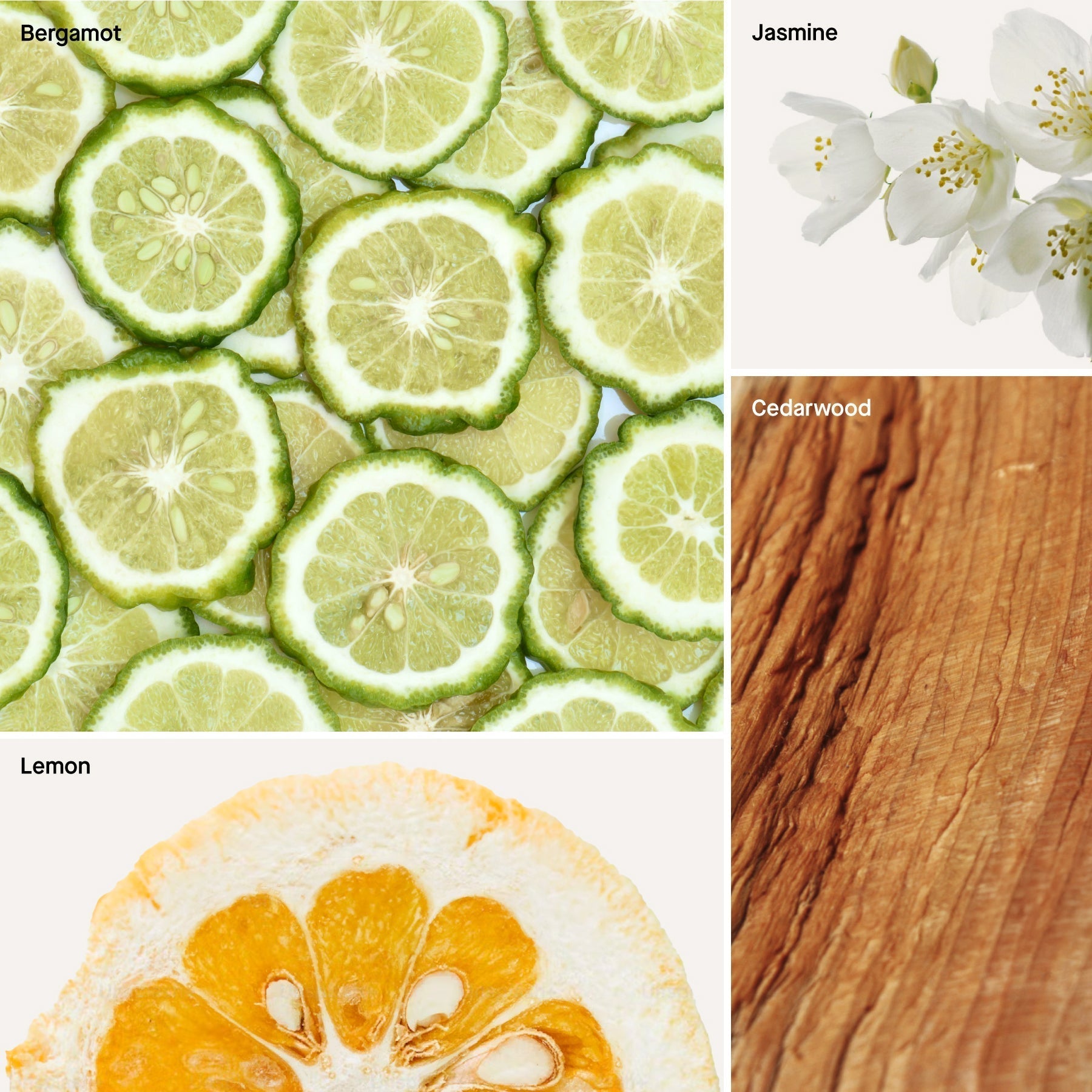 Cedar Bergamot - 16 fl oz Room & Linen Spray